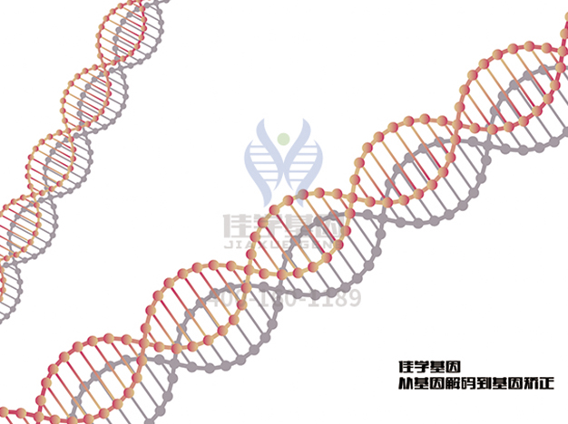 【佳学基因解码-基因检测】为什么爱因斯坦如此聪明，他的两个孩子却是疯子