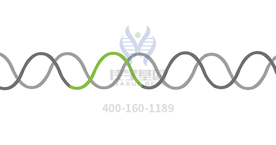 【佳学基因解码